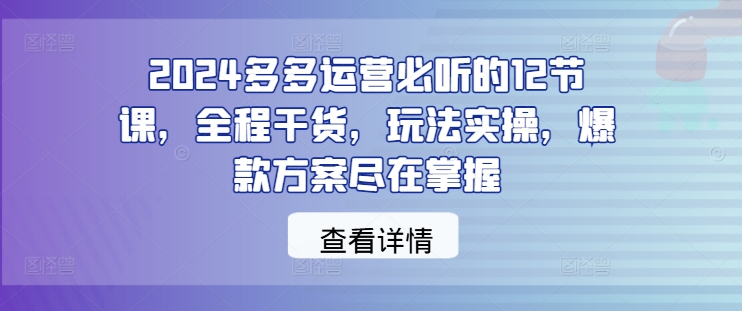 图片[1]-2024多多运营必听的12节课，全程干货，玩法实操，爆款方案尽在掌握——生财有道创业网-生财有道