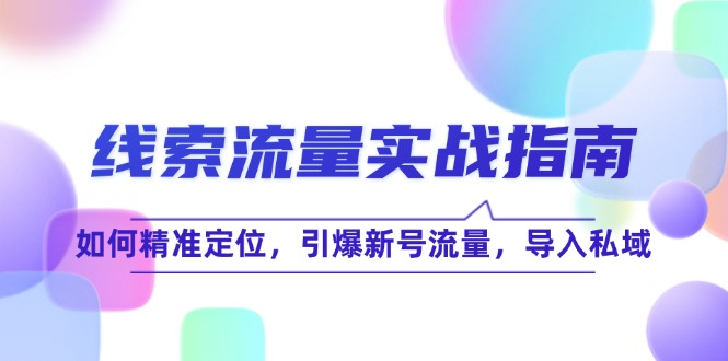 图片[1]-（12382期）线 索 流 量-实战指南：如何精准定位，引爆新号流量，导入私域_生财有道创业网-生财有道