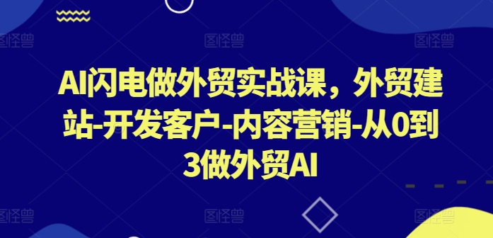 图片[1]-AI闪电做外贸实战课，​外贸建站-开发客户-内容营销-从0到3做外贸AI（更新）——生财有道创业网-生财有道