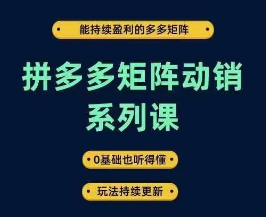 图片[1]-拼多多矩阵动销系列课，能持续盈利的多多矩阵，0基础也听得懂，玩法持续更新——生财有道创业网-生财有道