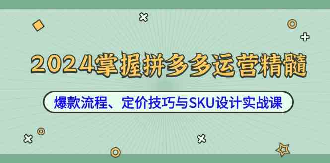 图片[1]-2024掌握拼多多运营精髓：爆款流程、定价技巧与SKU设计实战课-生财有道