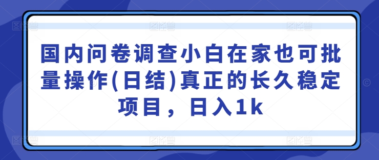 图片[1]-国内问卷调查小白在家也可批量操作(日结)真正的长久稳定项目，日入1k【揭秘】——生财有道创业网-生财有道