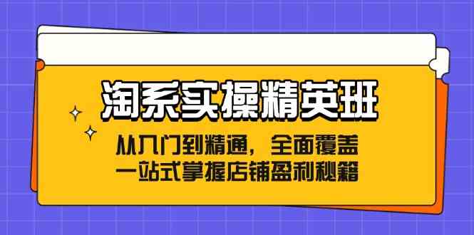 图片[1]-淘系实操精英班：从入门到精通，全面覆盖，一站式掌握店铺盈利秘籍-生财有道