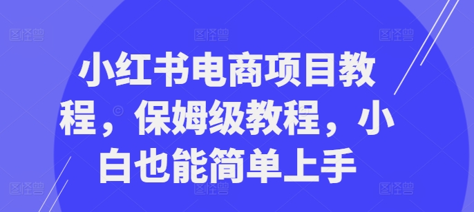 图片[1]-小红书电商项目教程，保姆级教程，小白也能简单上手——生财有道创业项目网-生财有道