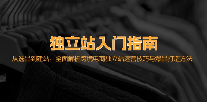 图片[1]-独立站入门指南：从选品到建站，全面解析跨境电商独立站运营技巧与爆品打造方法_生财有道创业网-生财有道