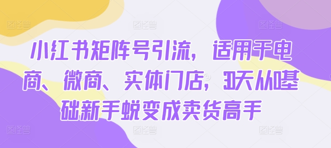 图片[1]-小红书矩阵号引流，适用于电商、微商、实体门店，30天从0基础新手蜕变成卖货高手——生财有道创业项目网-生财有道